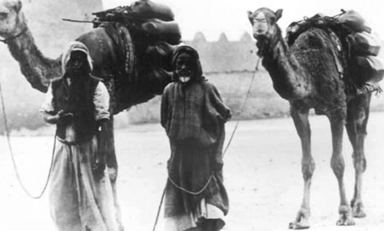 ربيعة (العراق) وش يرجعون.. جميع المعلومات عن قبيلة ربيعة العراقية