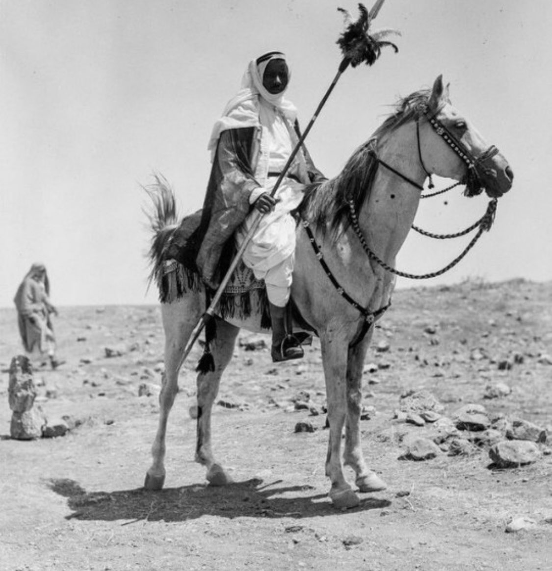 زعب وش يرجعون.. جميع المعلومات عن قبيلة زعب