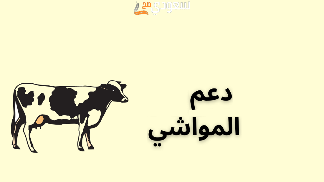 كم مبلغ قرض دعم المواشي وشروط الحصول عليه